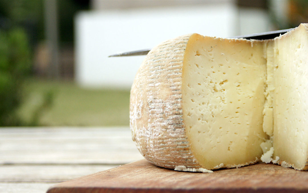 Pecorino abruzzese