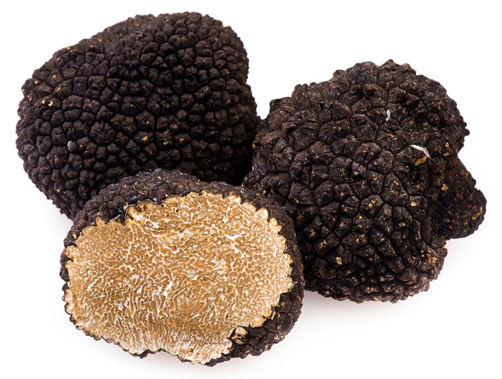 tartufo nero estivo abruzzo