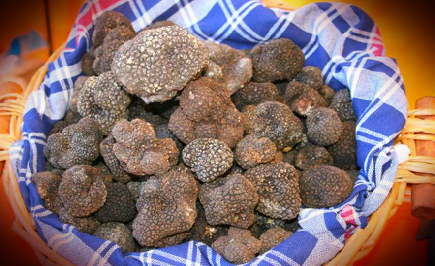 tartufo abruzzo