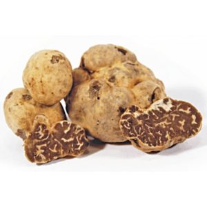 tartufo bianchetto abruzzese