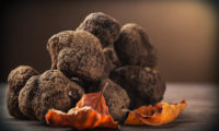 tartufo abruzzese